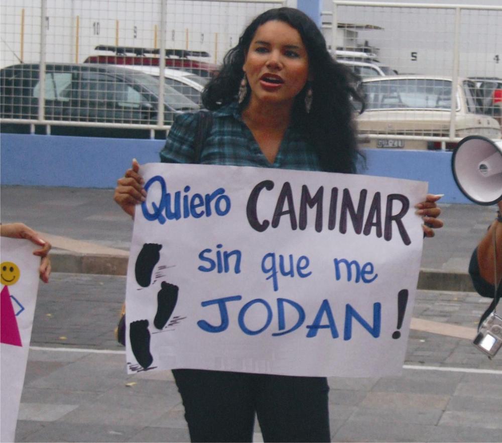 diane-rodriguez-activista-glbt-trans-feminista-quiero-caminar-sin-que-me-jodan-silueta-x (1)