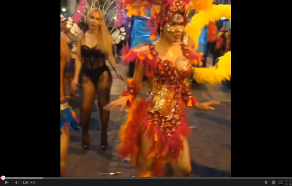 Orgullo y diversidad sexual 2014-activista lgbt trans Diane Rodríguez-Siluetax