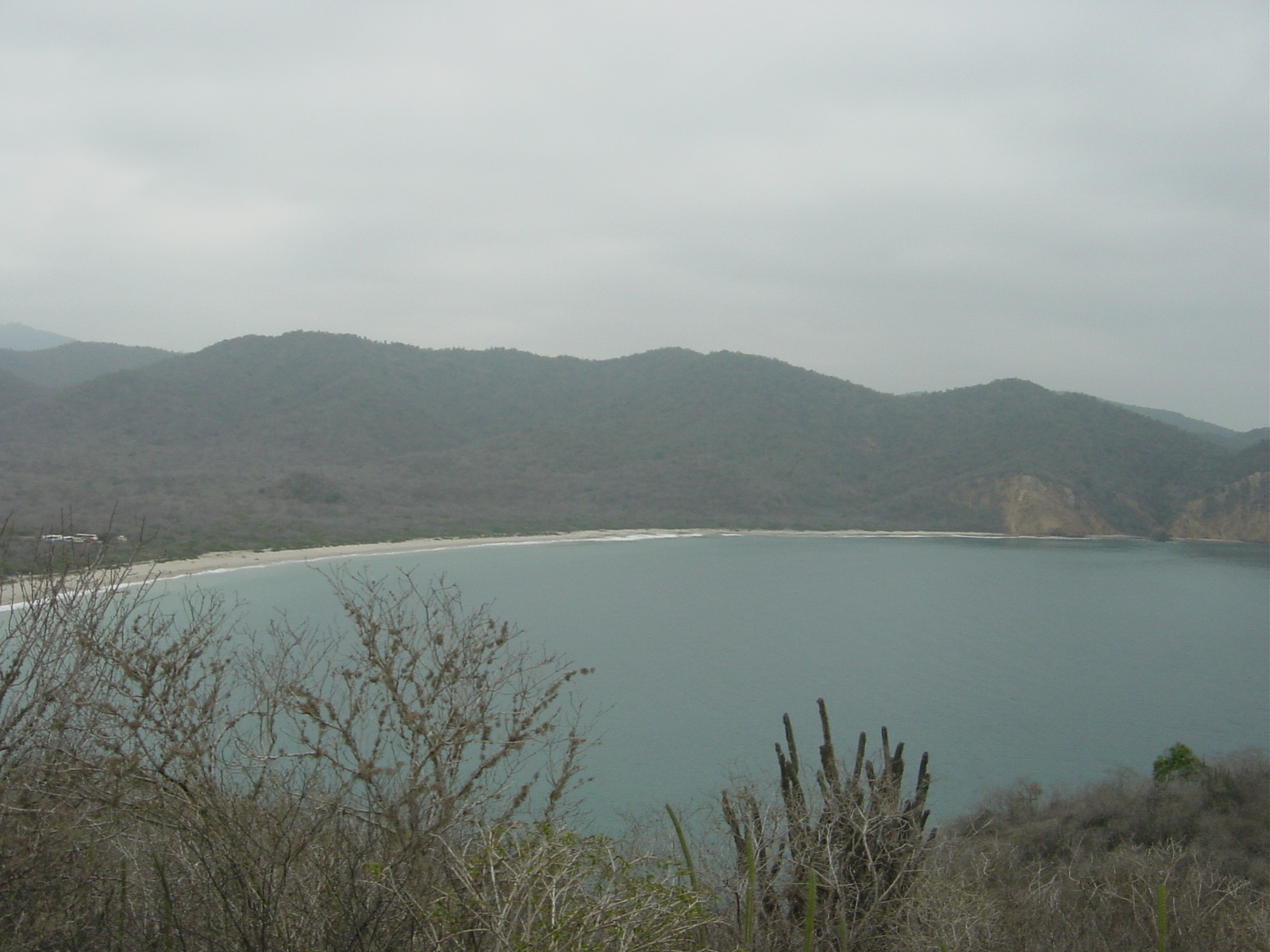 Bahía de aguas tranquilas con playa de arena, colinas al fondo y vegetación seca con cactus en primer plano.