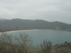 Bahía de aguas tranquilas con playa de arena, colinas al fondo y vegetación seca con cactus en primer plano.